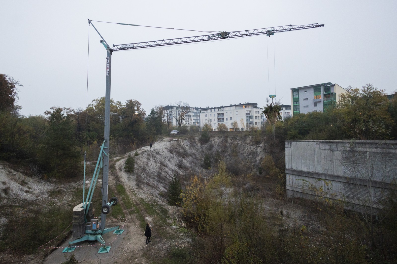 The Sowering Crane